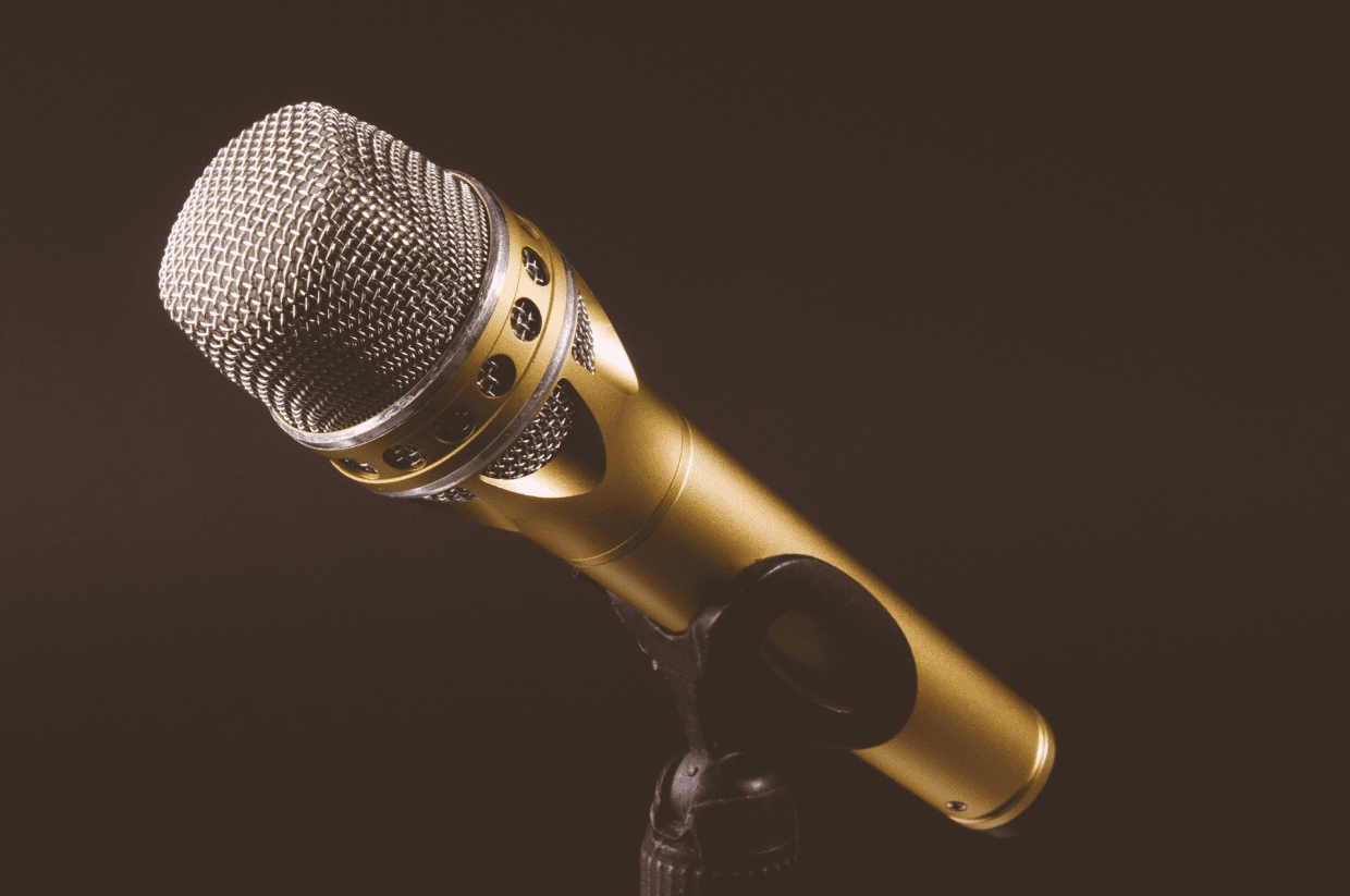 10 Best Dynamic Vocal Mics In 2020 Sharpens