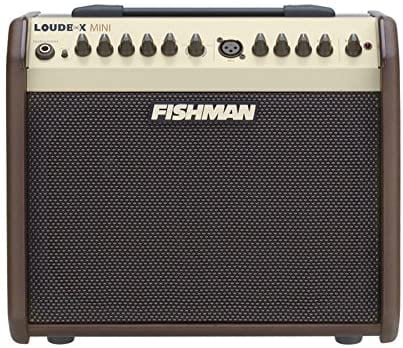 Description: Fishman Loudbox Mini 60W Acoustic Instrument Amplifier