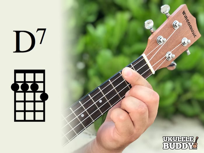 Ukulele Chords