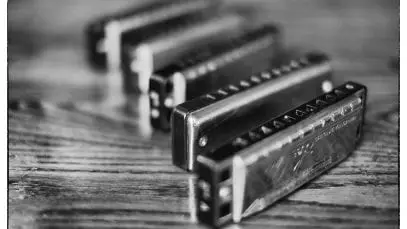 Top harmonica brands that you should opt for